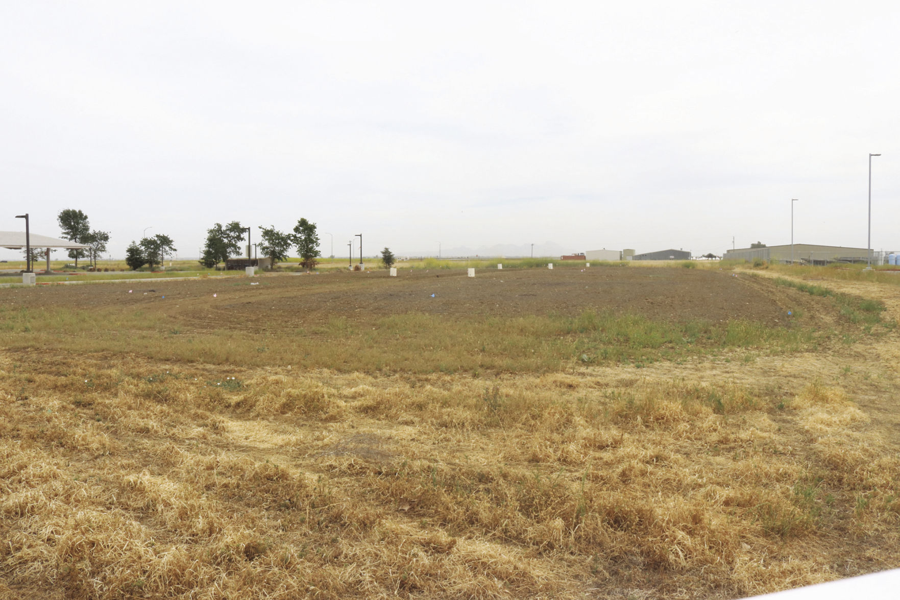 Connecting the community to local agriculture